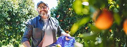 Man smiling in orange grove