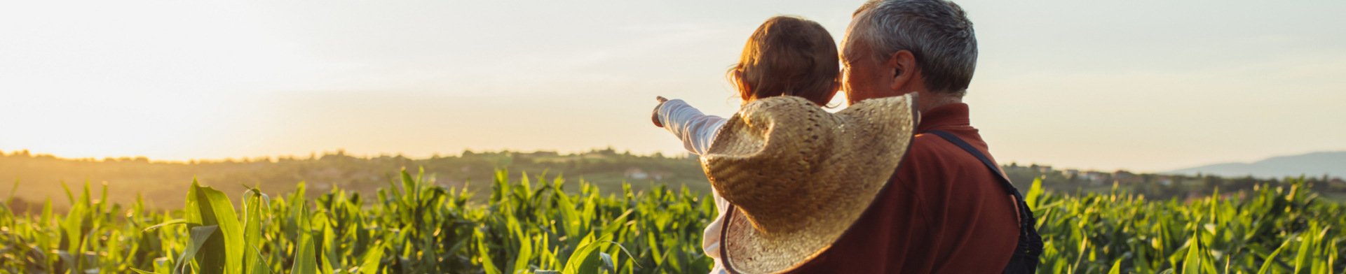 A farmer holding their child on their hip, looking over a cornfield.