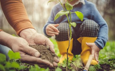 Handful of dirt, planting tree and child in yellow boots. 